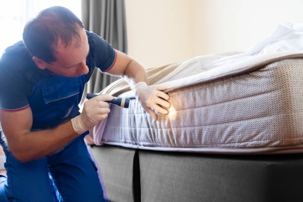 Best Fumigation Services  in Oakton, VA